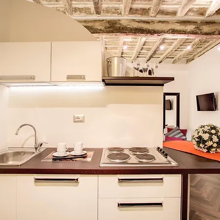 奥尔索豪华公寓 公寓 *